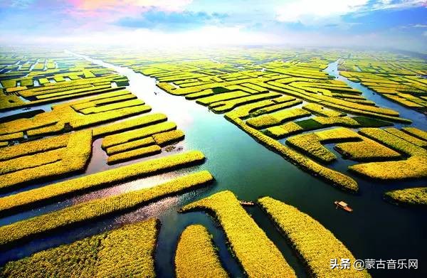 新歌推荐|乌兰娜《童年的油菜花》油菜花开正当时不负*光春**不负己