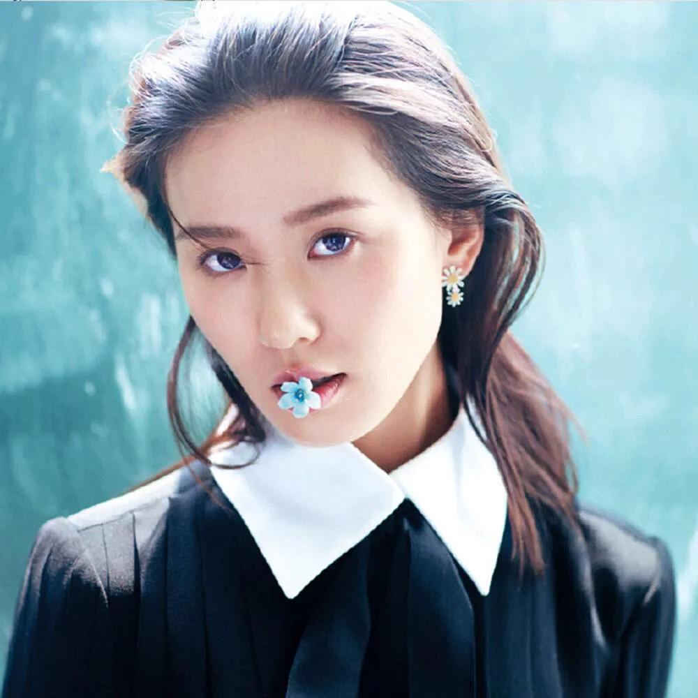 最近很火的小雏菊图片,最火的小雏菊系列