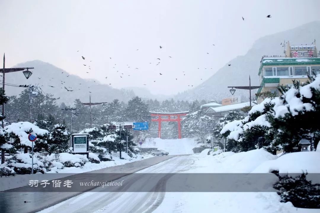 老实说,这一趟北海道就是为了拍好看的照片去的