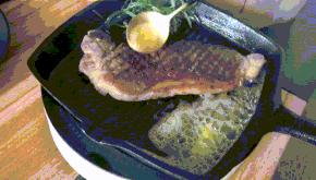 煎牛排用什么油可以代替黄油,煎牛排用什么油不会溅