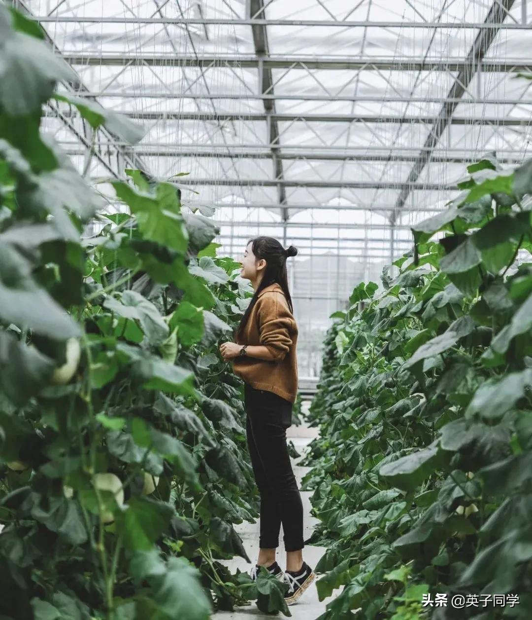 南昌农家乐采摘一日游,南昌采摘农家乐