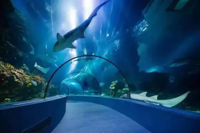 上海地铁沿线景点全部免费,上海地铁11号线上海赛车场