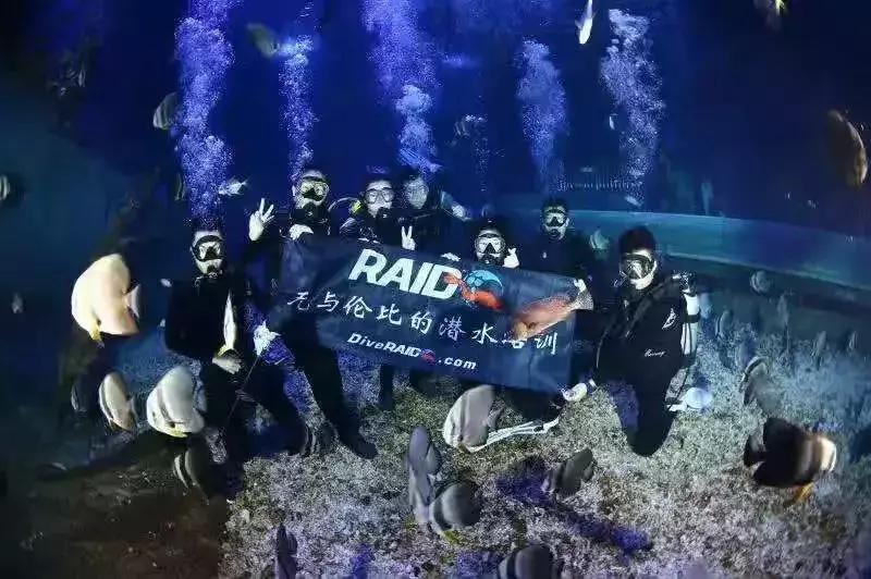 临沂极地海洋世界五一特惠,临沂极地海洋世界门票多少钱