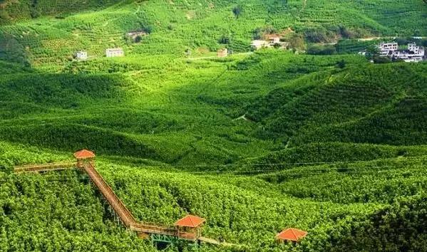 厦门有避暑的地方吗,厦门清凉避暑好去处推荐