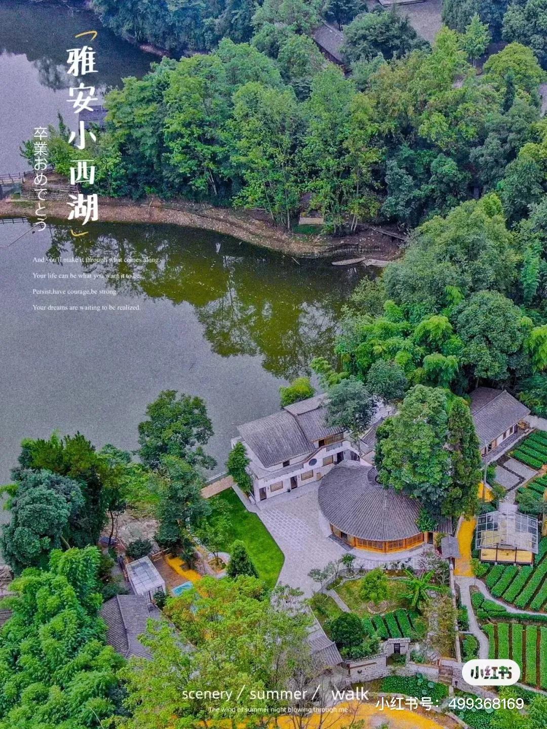 如何诗意的度过初冬？我在雅安这些私藏美宿里找到了答案