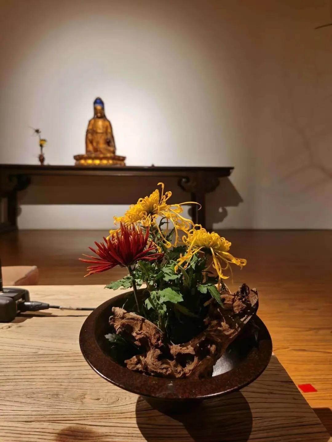 美即是正义是什么梗,美即是医用面膜吗