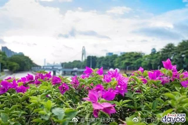 广州地铁直达的打卡地,广州地铁打卡好玩的地方