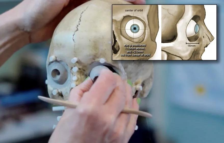 法医根据头骨还原死者,颅骨还原画像原理