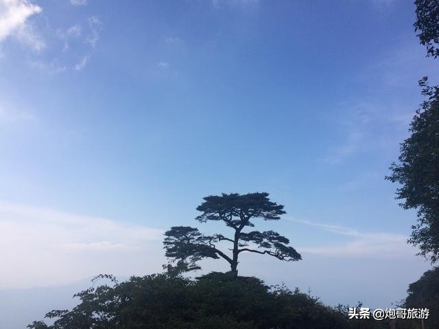 炮哥游山视频全集,炮哥游记