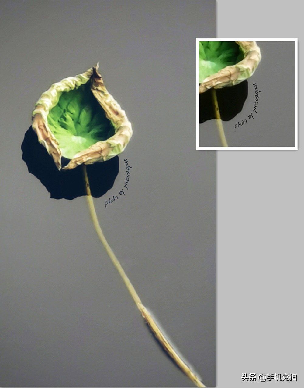 如何快速给大量照片添加水印,怎么给照片加好看的水印