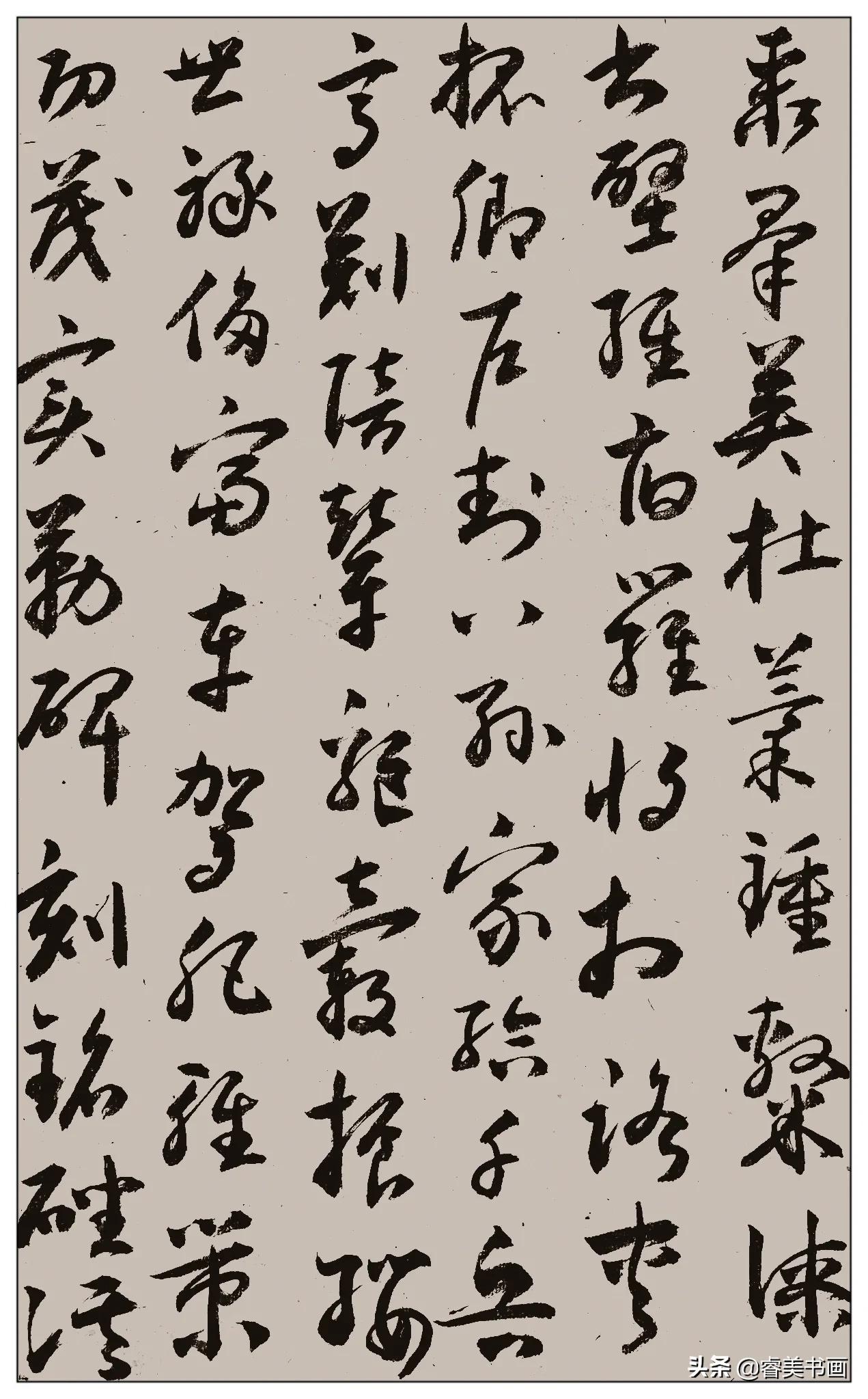 临文征明草书,体字草书文征明