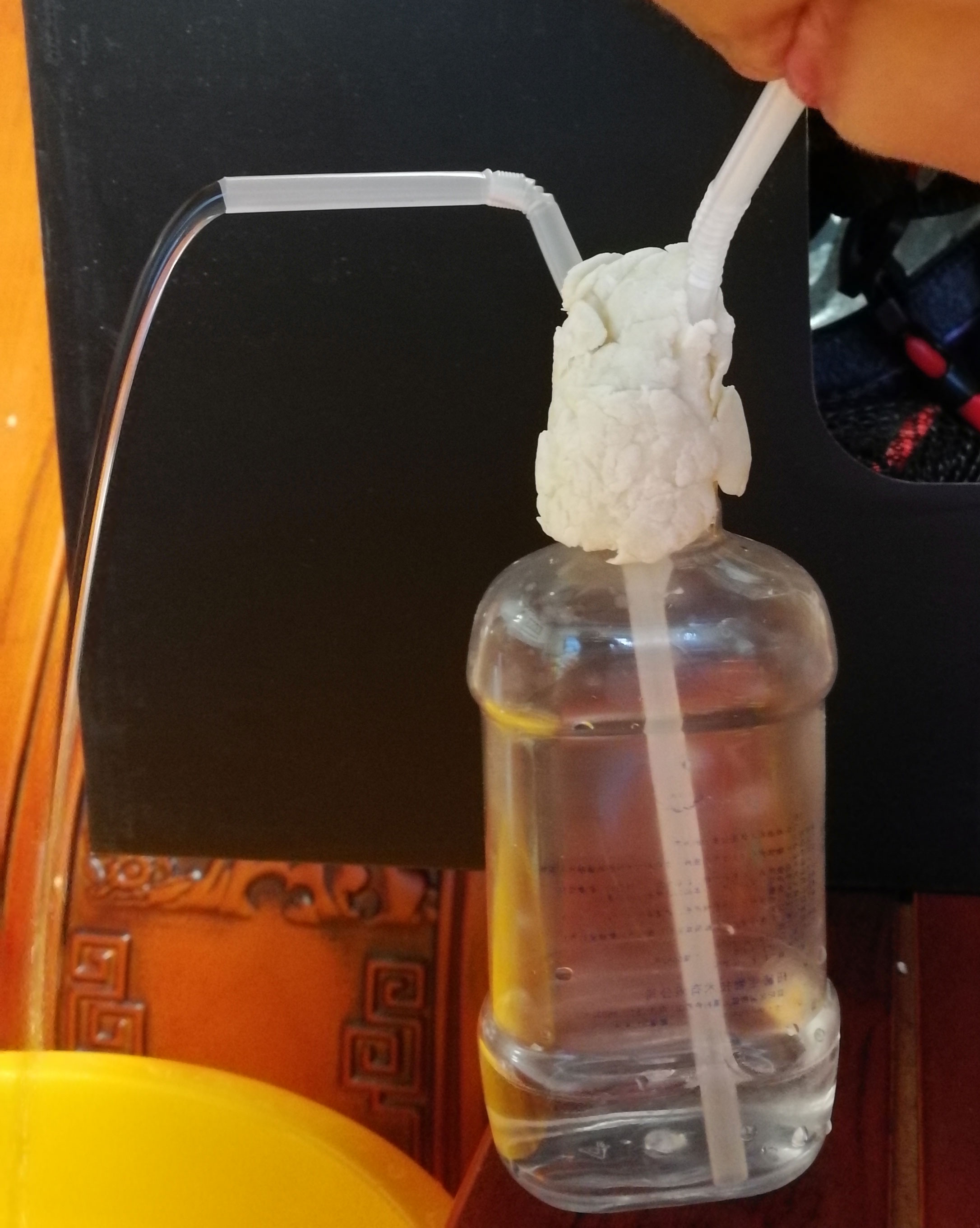 喷泉表演？也可以跟孩子一起来制作