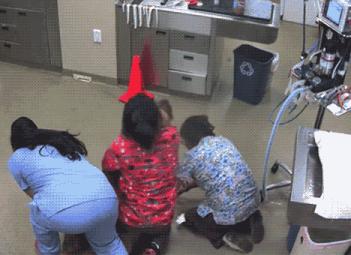 疫情期间毛孩子生病咋办,毛孩子打疫苗后反应及处理