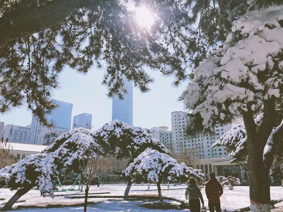 沈阳音乐学院院校代号,辽宁三所高校