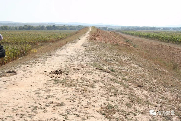 45万奈曼人的名片,太漂亮了!除了中华麦饭石你还知多少?