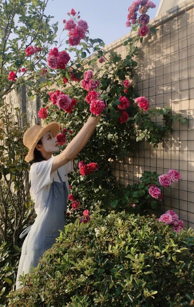 张馨予深夜晒美食照,张馨予晒的美食