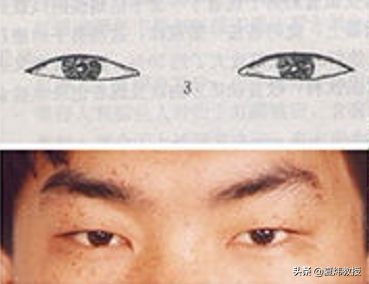 最美的眼睛形状,眼睛是什么样的形状才好看