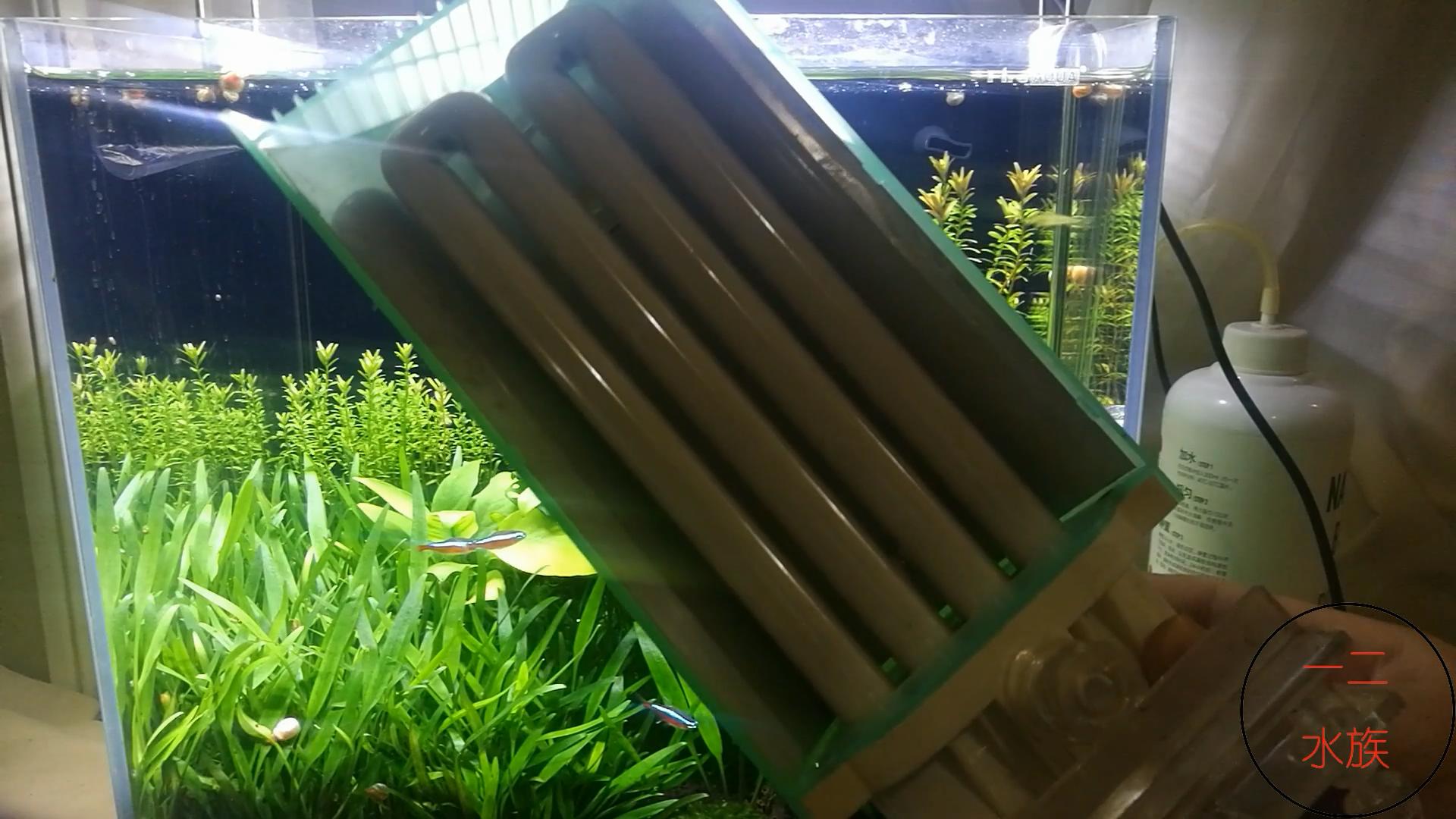 草缸可以不用灯吗,草缸用t5还是t8的灯管