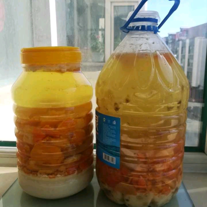 长寿花自制营养液,自制长寿花催花的方法