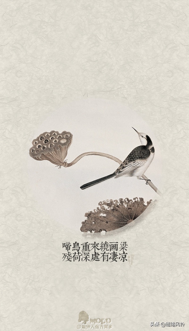 秋阴不散霜飞晚，留得枯荷听雨声——九首诗词咏荷花，美在天真！