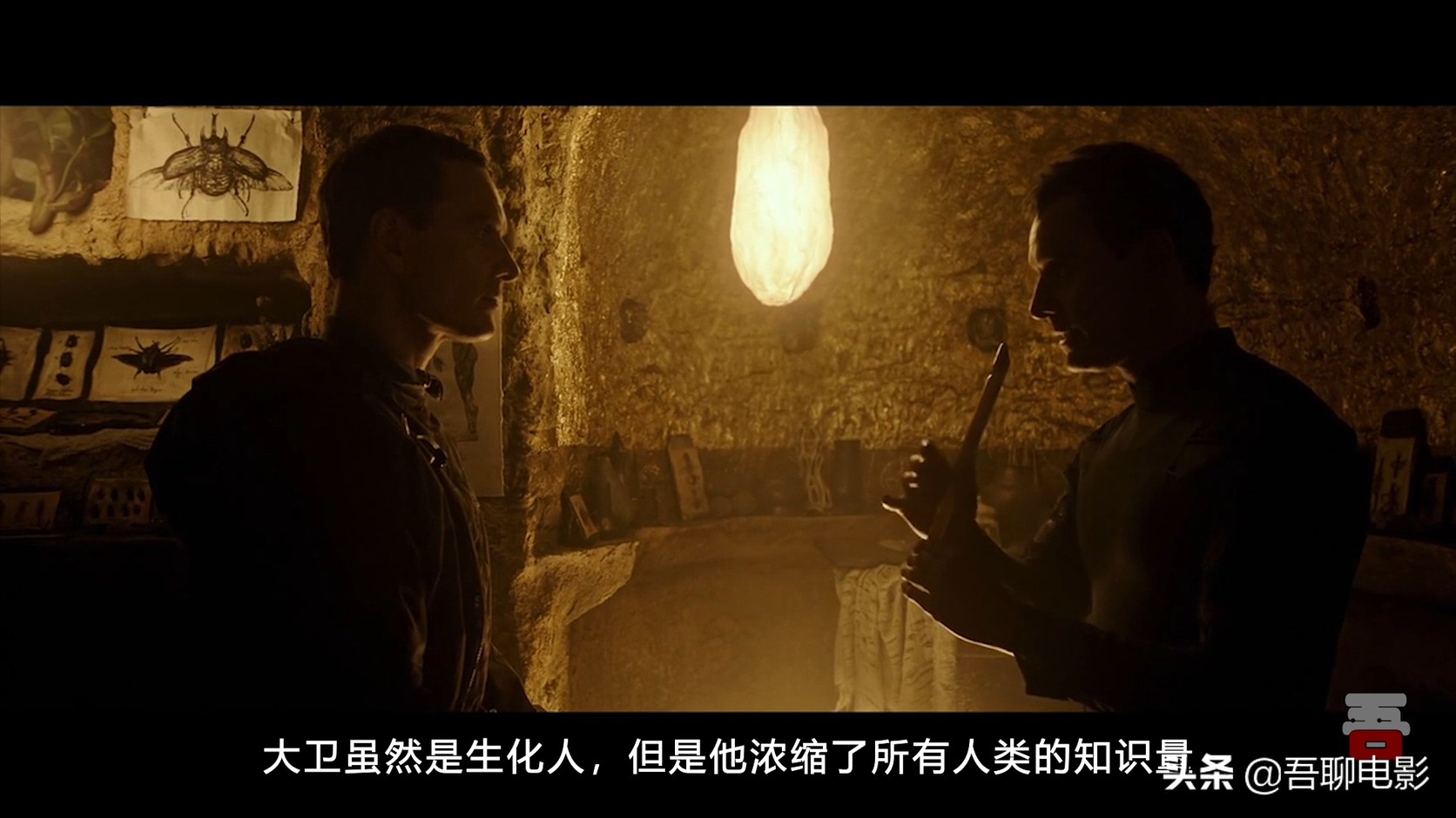 异形契约详细解说,异形契约烂尾深度解析