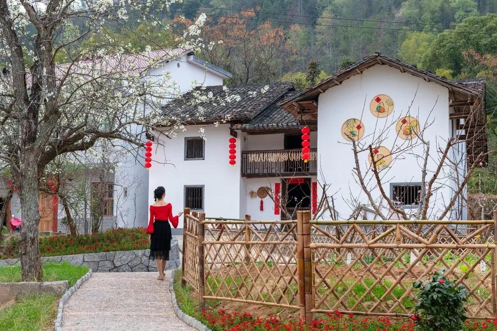 【谁不说咱家乡美】美丽中国，“乡”约万安（河西片）