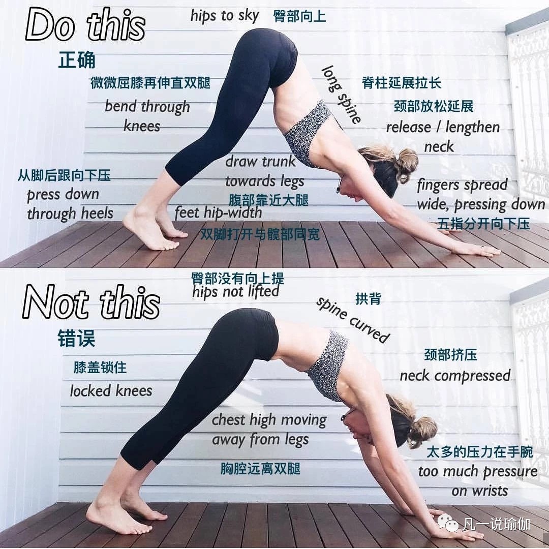 初学者怎么练下犬式,如何练习下犬式