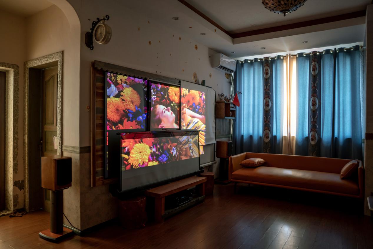 智能投影幕布,微投影坚果