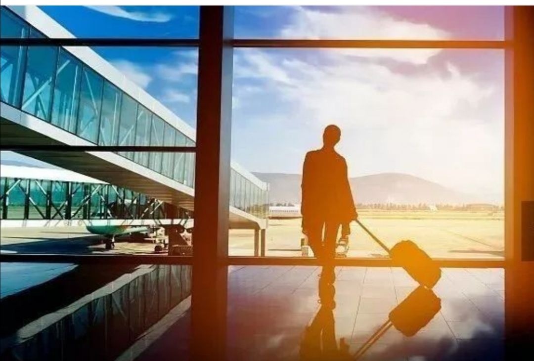 研三女生自杀事件点评,研三女孩去世后续