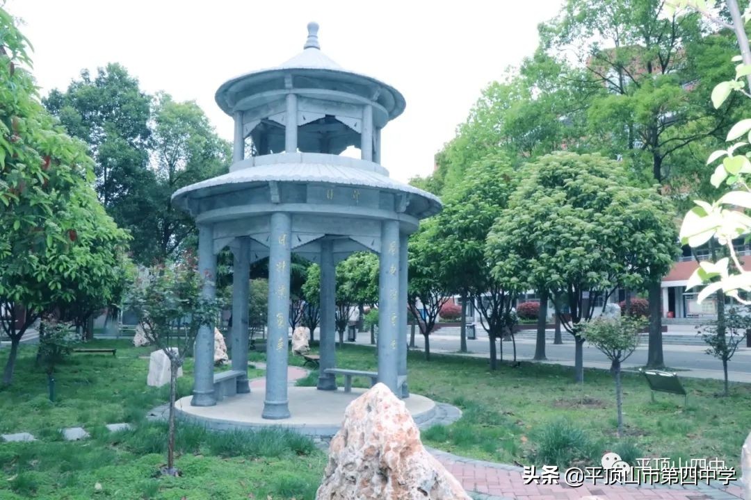 平顶山四中官网招生,平顶山市第四中学2020年