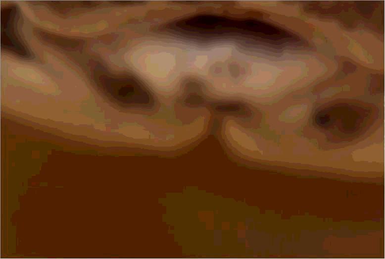 毒蛇排名前十的蛇短尾蛇,世界上的毒蛇王