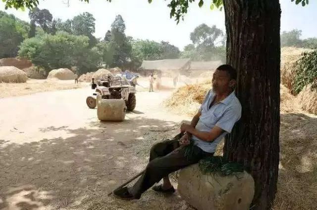 难忘生产队打麦场上的夏夜乘凉，浓浓乡情至今暖心|解广通