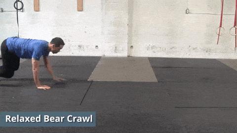 什么？爬行训练能治脊椎病？