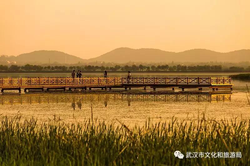 武汉一日游攻略必去十个景点免费,武汉一日游推荐景点介绍