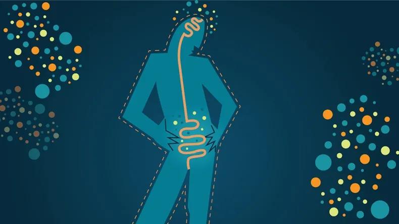 肠道菌群移植治疗抑郁症,抑郁症发病在肠道怎么调整菌群