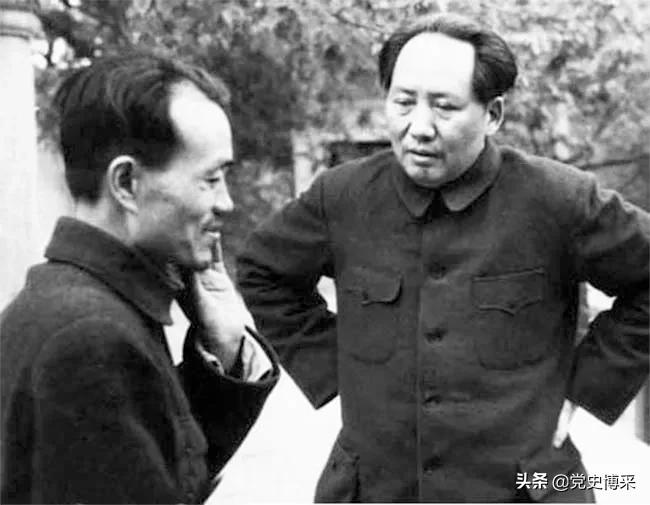 *乔木胡**：子女眼中的“*党**内一支笔”