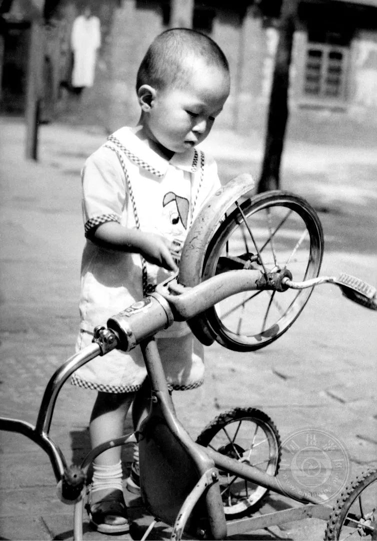 刘凤林的画家,摄影中国签约摄影师照片