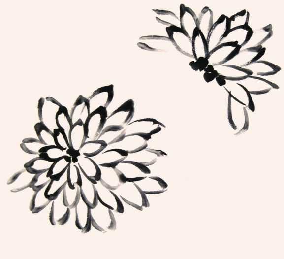 国画菊花的叶子画法步骤入门,梅兰竹菊国画菊花初学者怎么用笔