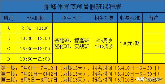 适合4-5岁孩子的暑期运动班,暑假孩子报什么运动班