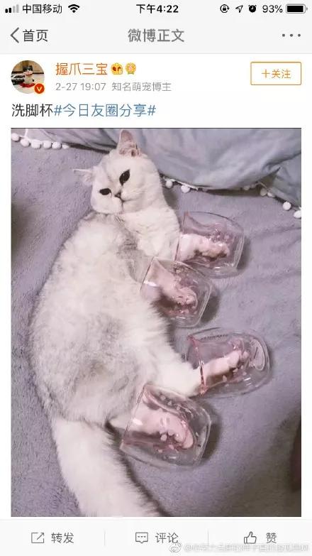 星巴克猫爪杯遭疯抢甚至大打出手,星巴克猫爪杯深夜排队疯抢