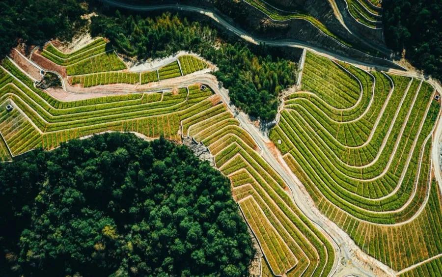 台州藏在深山里的世外桃源,台州家乡春天的美景