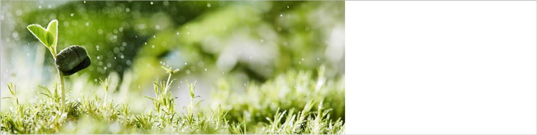 ppt图片处理技巧教程,ppt图片处理技巧大全集