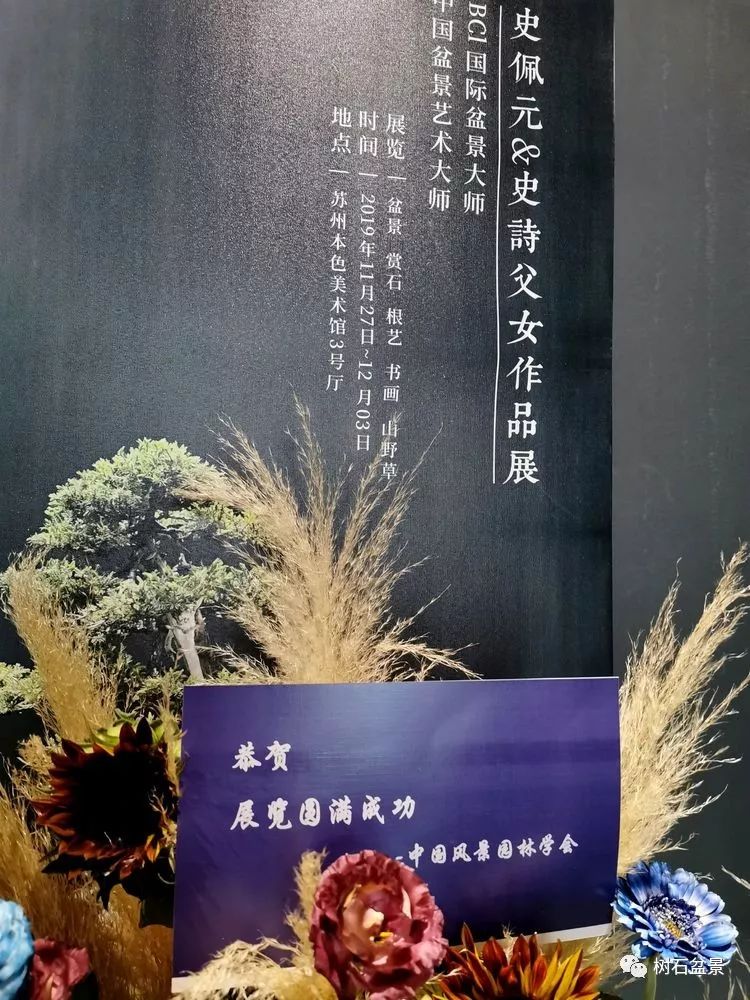 伟大使命复兴中国盆景艺术事业——2019中盆会大事回顾(下篇)