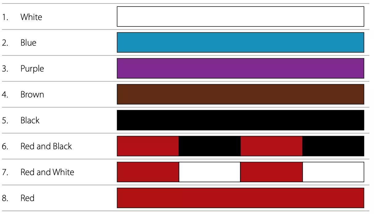 柔术指南——巴西柔术带色系统基础入门