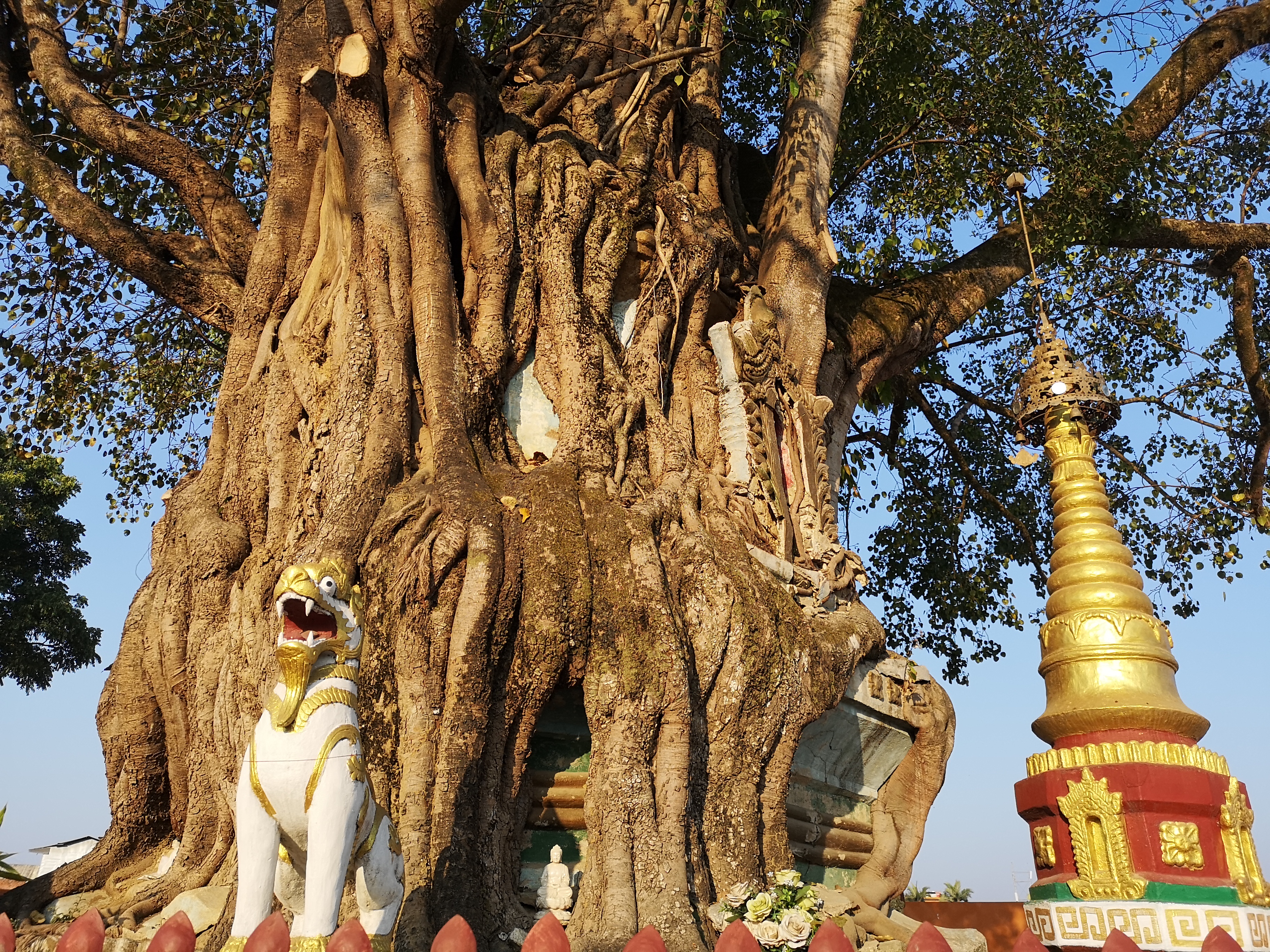 去云南旅游自驾2万元够吗,不到2000元的云南十日游