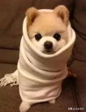 北方人到杭州生活有哪些不适应,北方人去杭州工作