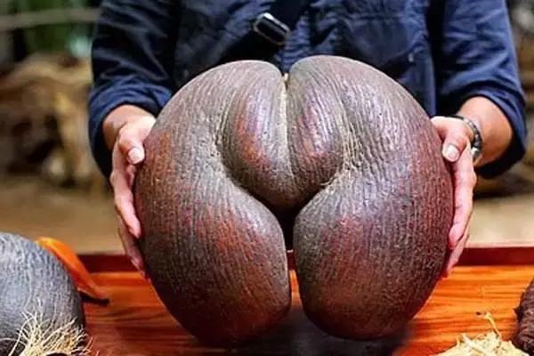 世界公认十大降血糖水果,世界十大罕见水果排行