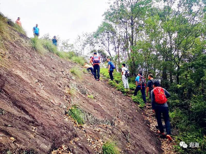 乐清仙溪有哪里好玩的 (乐清仙溪镇景点)