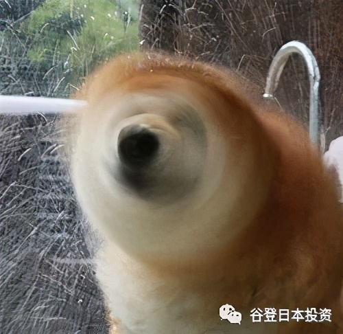 「谷登知识星球」浴衣、烟火，在祭奠中拥抱夏日吧