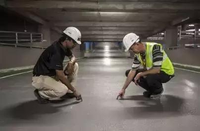 意外妊娠是什么,鹦鹉热是什么